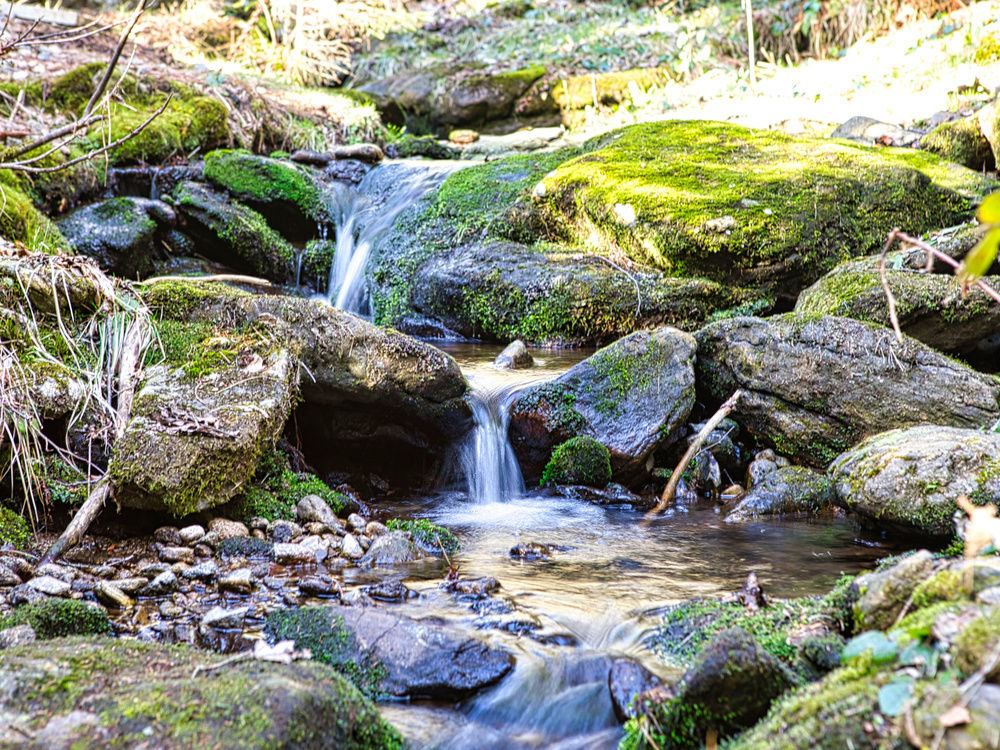 Bachlauf bei Wanderweg 8