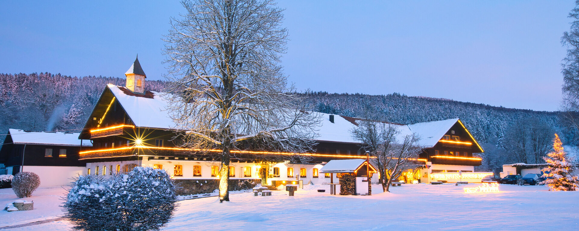 Winteraufnahme 20221218