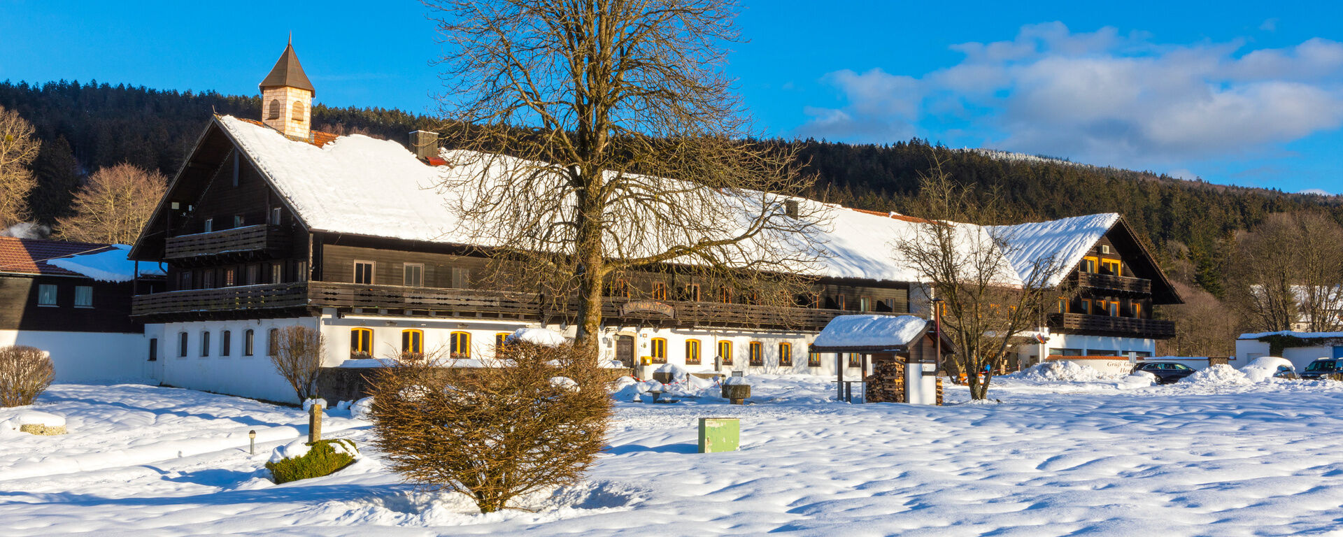 Winterbild 02/2023