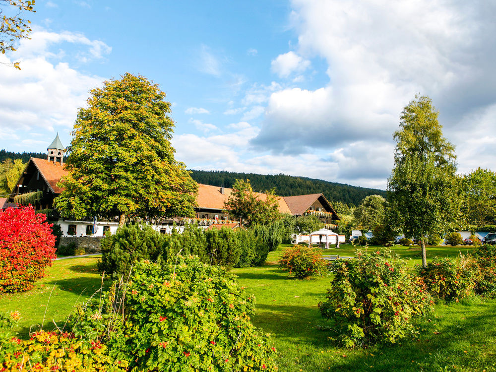 Haus Herbst 2018