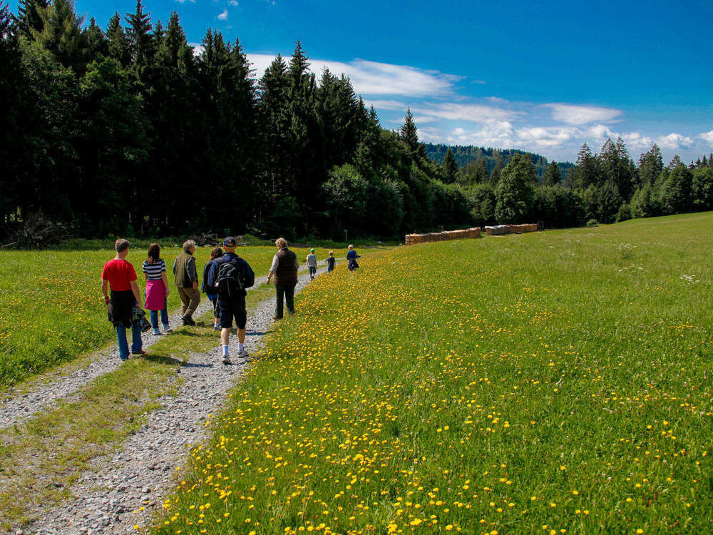 Wild- und Waldwanderung