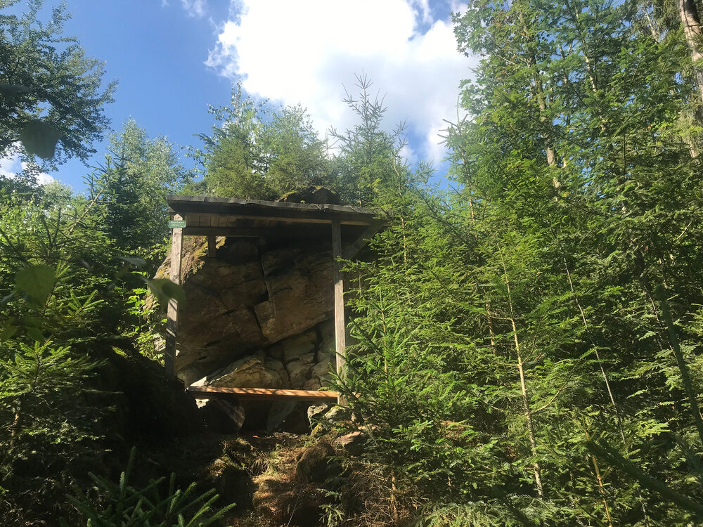 Ein grünes Waldgebiet mit vielen Bäumen in der nähe vom Froschmaulstein.
